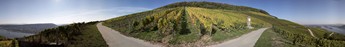 Weinberge bei Rdesheim