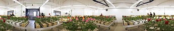 Fachgebiet Zierpflanzenbau - Haltbarkeitsraum (2)